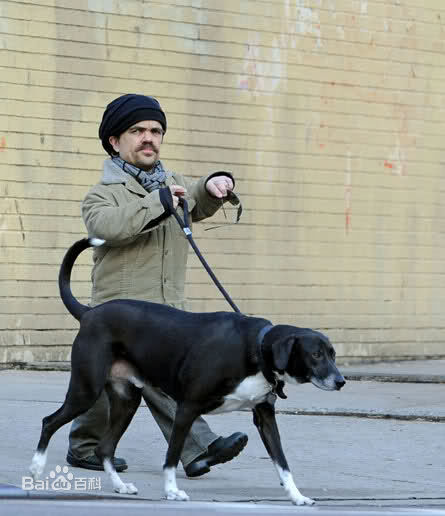 高清彼特·丁拉基(Peter Dinklage)性感图片