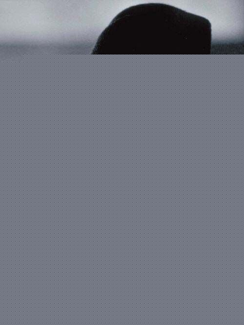 精选吉奥瓦尼·瑞比西(Giovanni Ribisi)