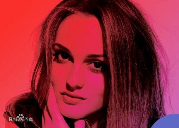 高清莉顿·梅斯特(Leighton Meester)图片