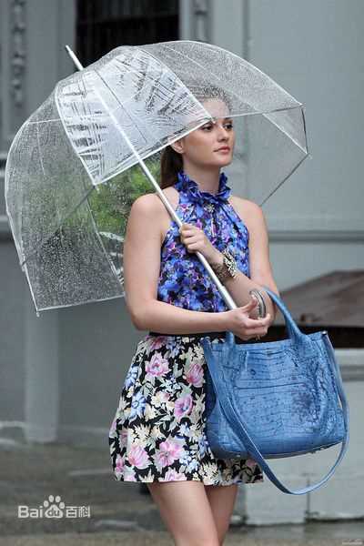 高清莉顿·梅斯特(Leighton Meester)精彩图册