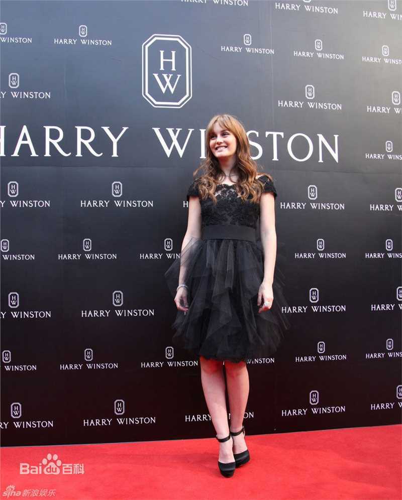 最优质莉顿·梅斯特(Leighton Meester)精彩图册