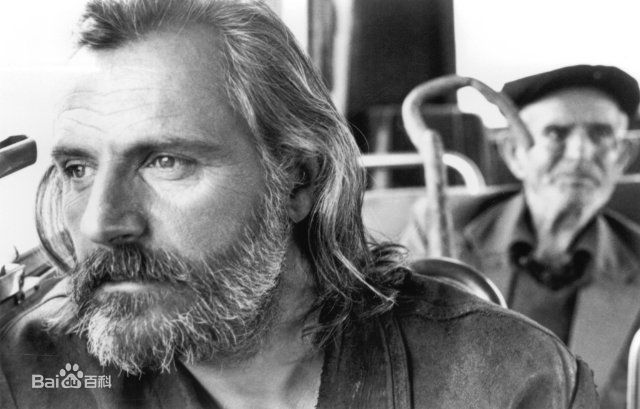 高清拉德·舍博德兹加精彩图册