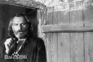 最全拉德·舍博德兹加壁纸