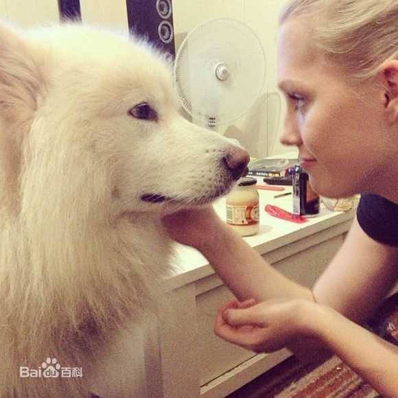 克莱尔·霍尔特(Claire Holt)克莱尔性感图片壁纸