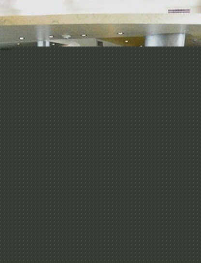 克莱尔·霍尔特(Claire Holt)生活壁纸壁纸