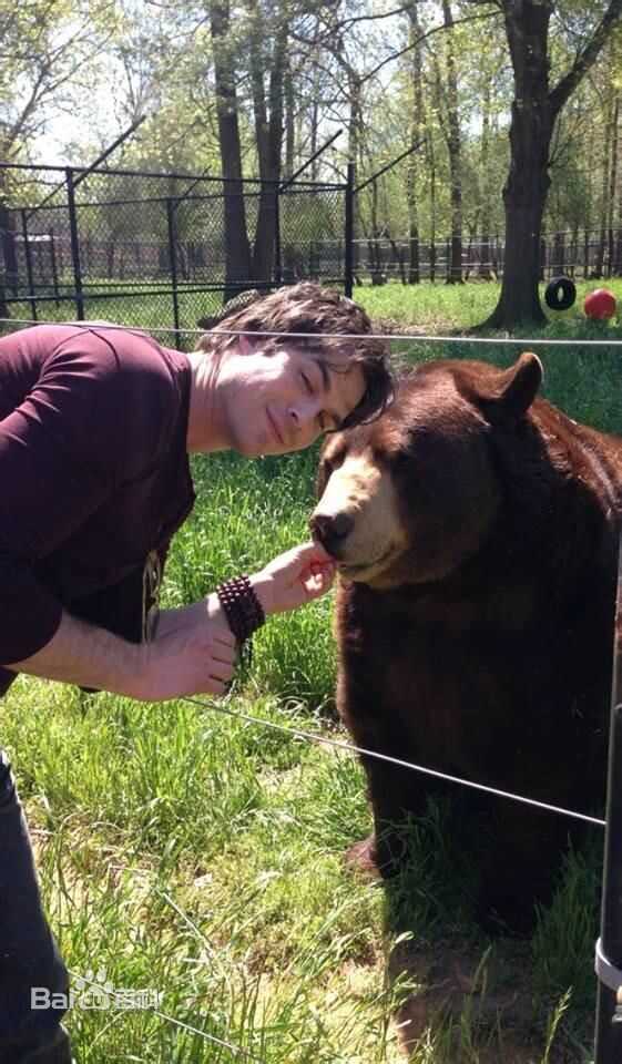 伊恩·萨默海尔德(Ian Joseph Somerhalder)ian@Noah’s Ark Animal Sanct生活照相册