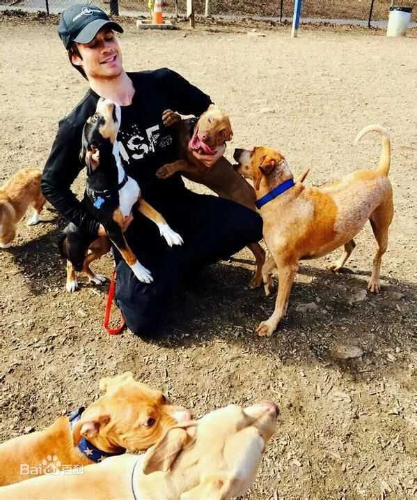 伊恩·萨默海尔德(Ian Joseph Somerhalder)ian的instagram图片图册