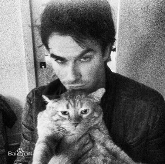 伊恩·萨默海尔德(Ian Joseph Somerhalder)ian的instagram图片图册