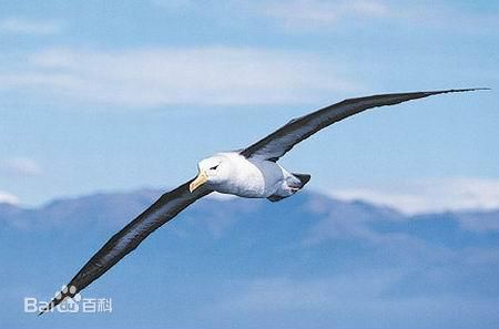 精选哈里·崔德威(Harry Treadaway)