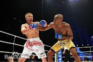 最优质安德森·席尔瓦(Anderson Silva)生活照