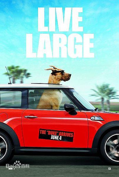 精选史蒂夫·库根(Steve Coogan)