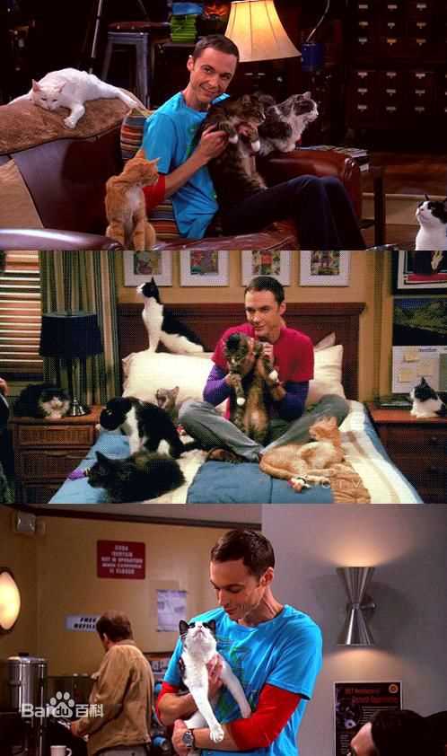 吉姆·帕森斯(Jim Parsons/James Joseph Parsons)精彩图册