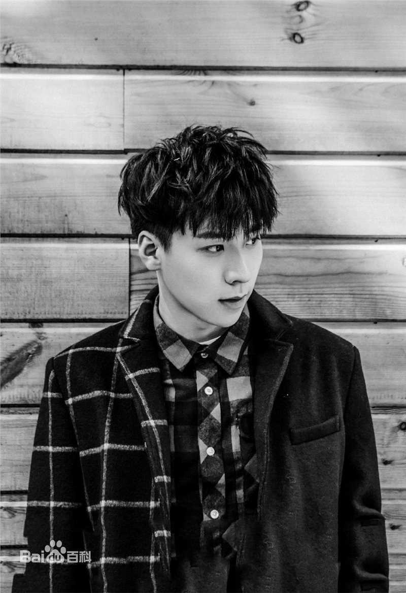 王博文精选杂志图册