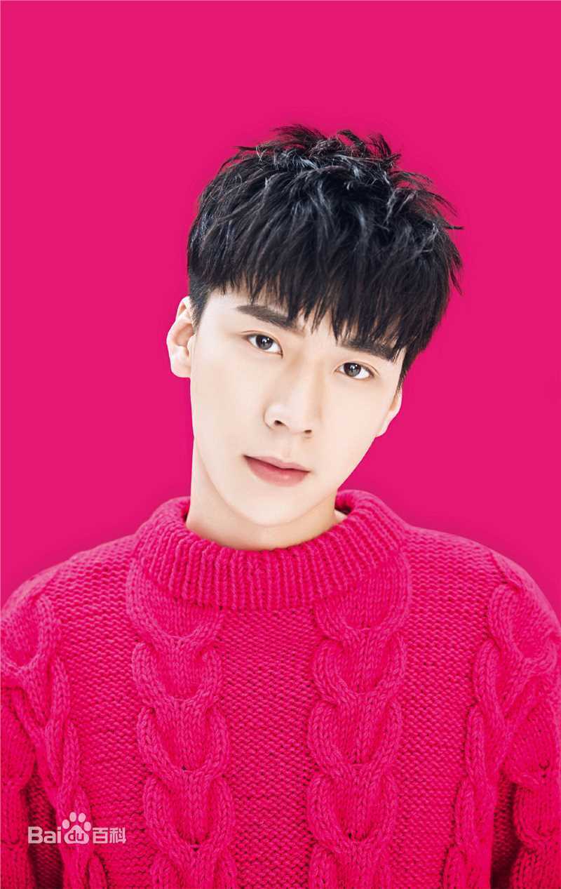 王博文最全音乐专辑壁纸