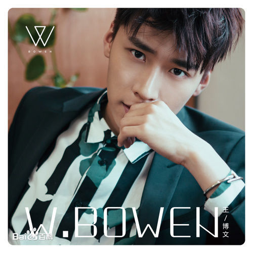 最全王博文素颜照