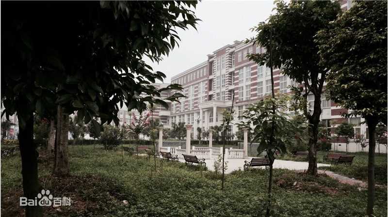 李燕宁作品素颜照相册