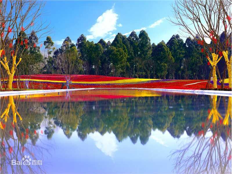 李燕宁作品生活照相册