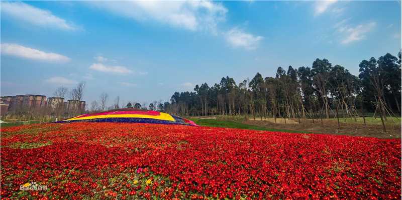 李燕宁作品生活照相册