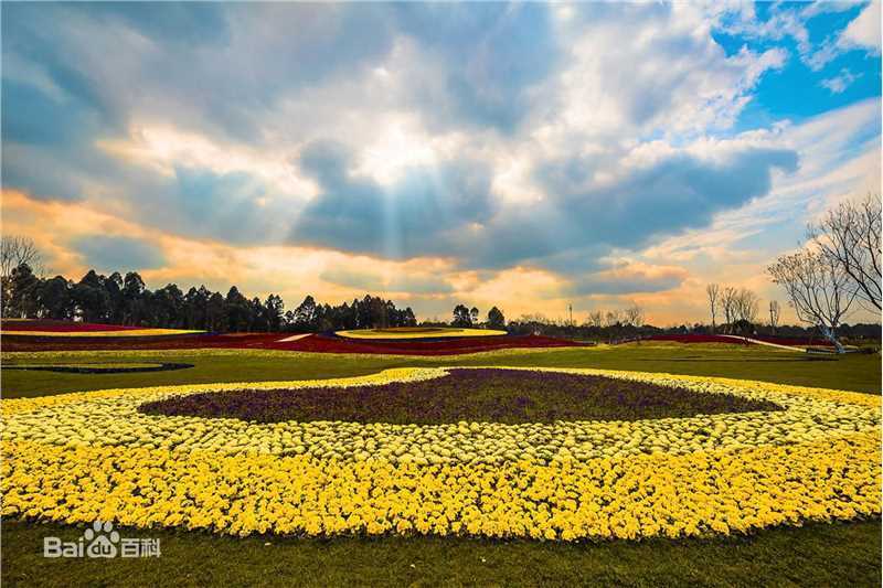 李燕宁作品生活照相册