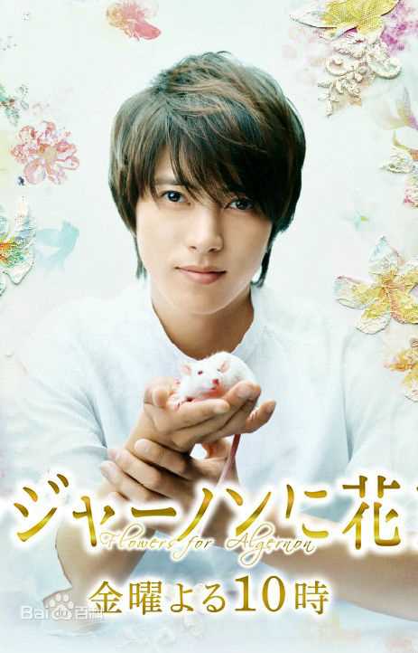 最全松本若菜(まつもと わかな、Matsumoto Wakana)素颜照