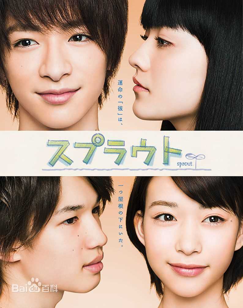 最全森川葵(もりかわ あおい、Aoi morikawa)壁纸