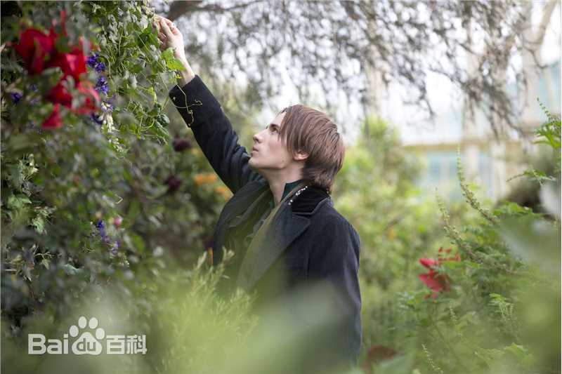 最全森川葵(もりかわ あおい、Aoi morikawa)壁纸