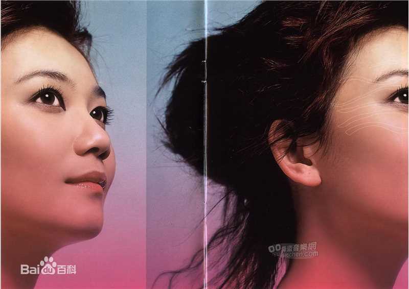 梁静茹(Fish Leong)丝路 内地版图片图册