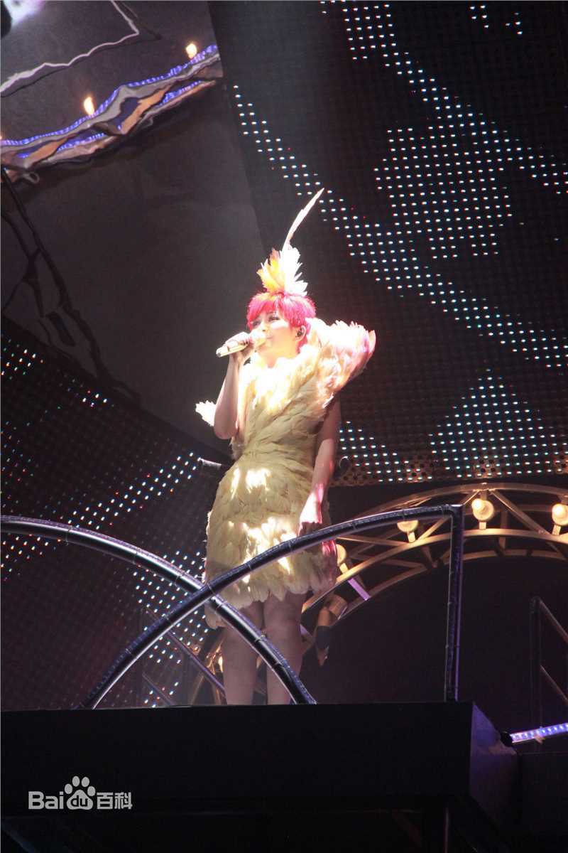 梁静茹(Fish Leong)爱的那一页演唱会素颜照相册