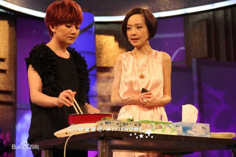 梁静茹(Fish Leong)2011.4.24 鲁豫有约前后照片