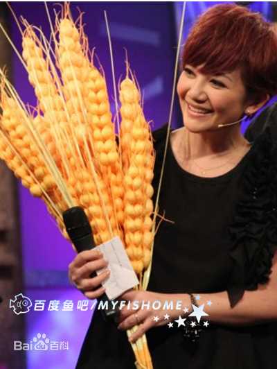 最全梁静茹(Fish Leong)精彩图册2