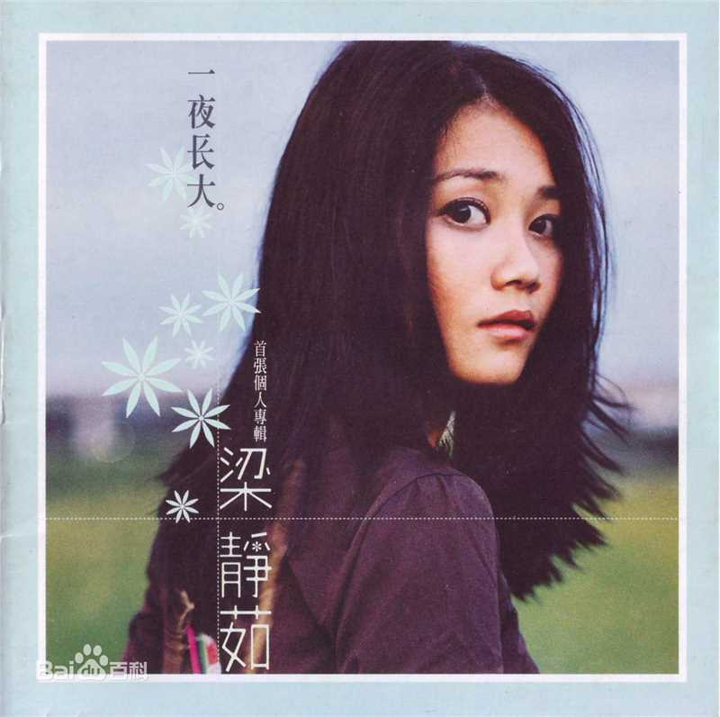 梁静茹(Fish Leong)前后照片