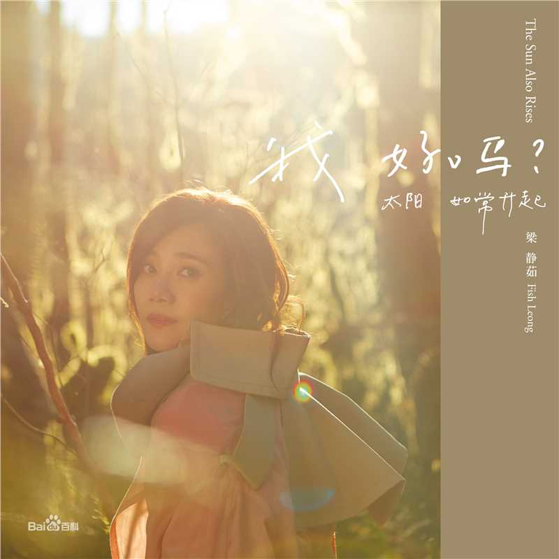 梁静茹(Fish Leong)前后照片