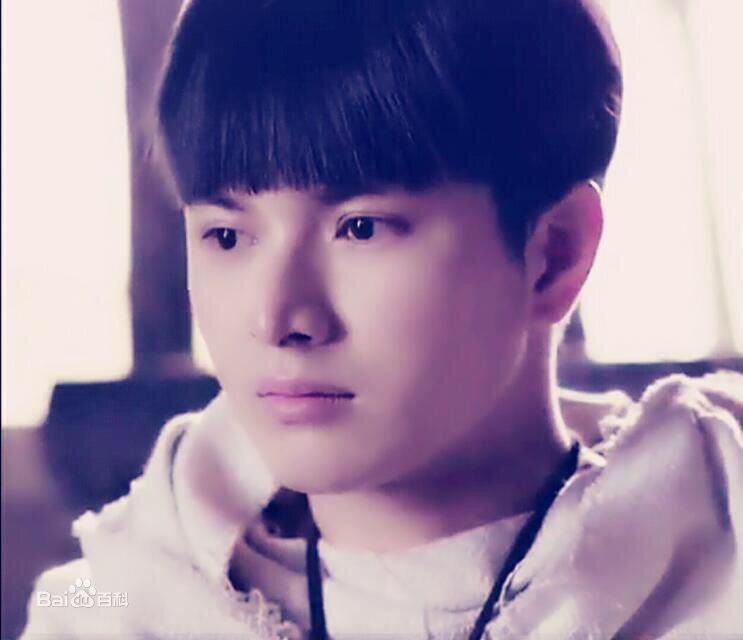 陈炳强2015图册壁纸壁纸