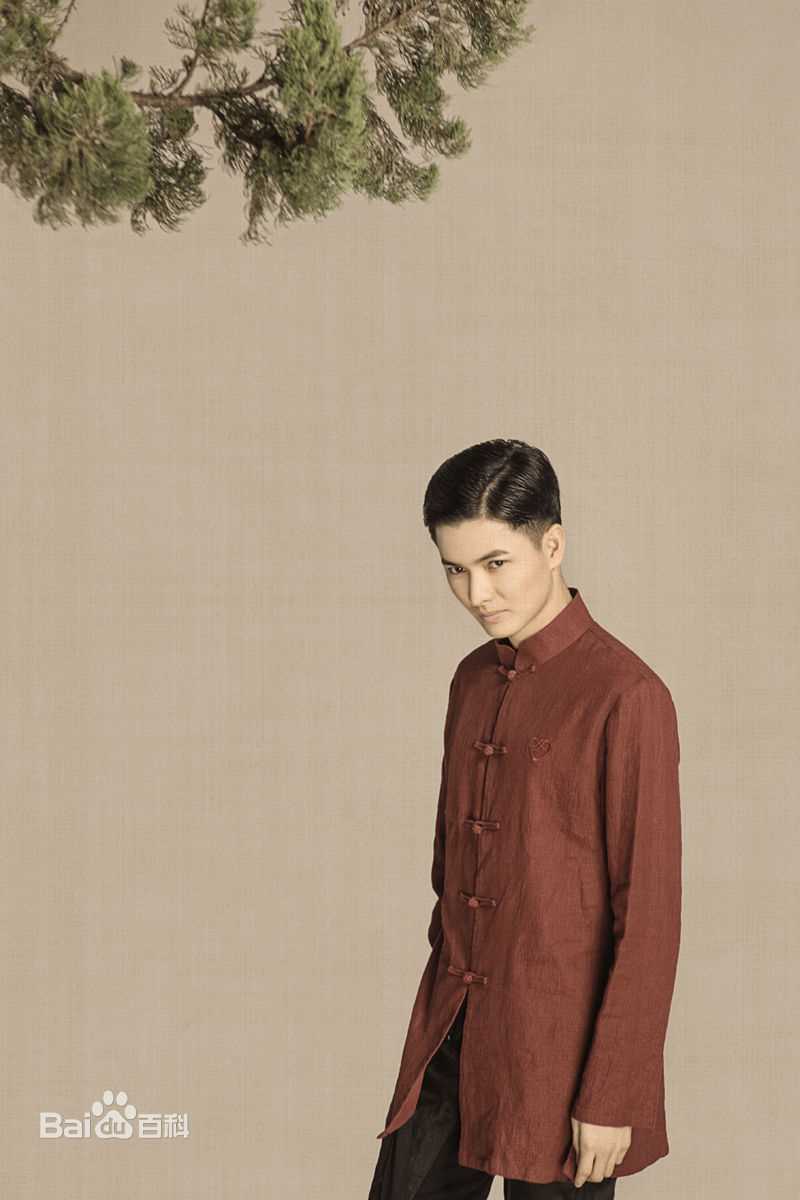 陈炳强高清艺乐杂志图集