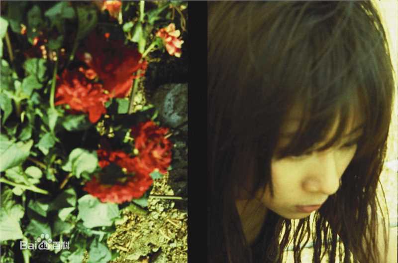 陈绮贞(Cheer)专辑照片图片图集