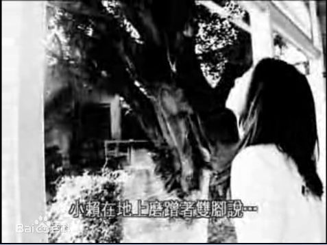 陈绮贞(Cheer)专辑照片图片图集