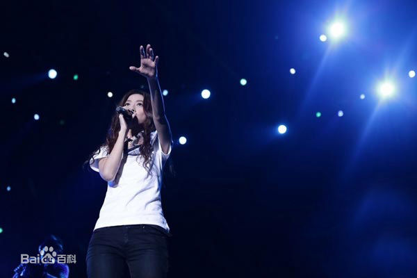 陈绮贞(Cheer)2014年演唱会图册