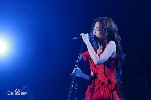 陈绮贞(Cheer)2014年演唱会图册