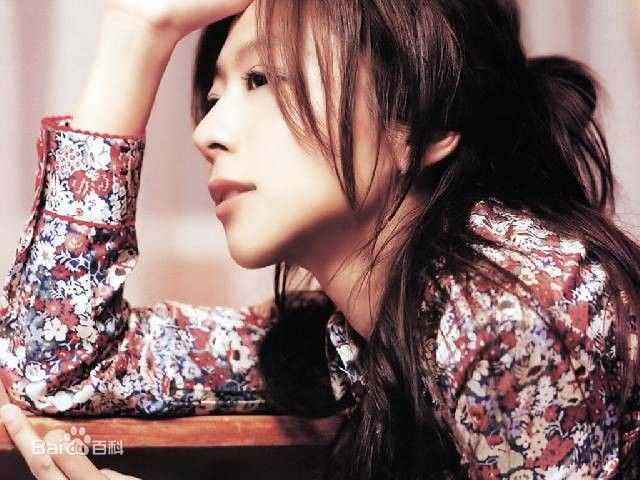 精选陈绮贞(Cheer)精彩图册