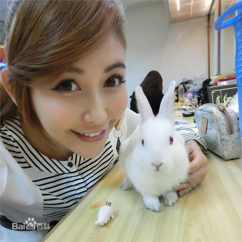 最全简恺乐(Butterfly Chien)壁纸