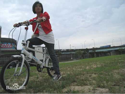 傅小芸芸爱壁纸壁纸