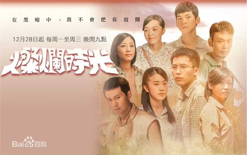 最全傅小芸壁纸