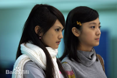 最全傅小芸壁纸