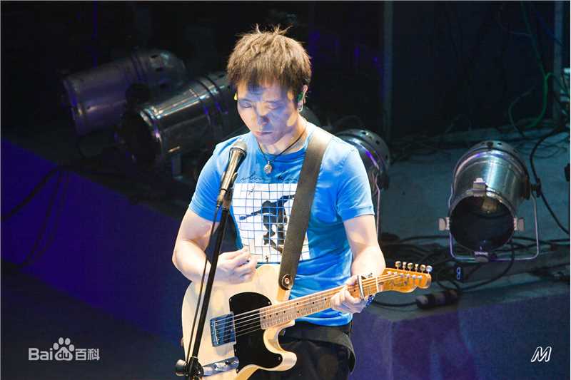 许巍演唱会图册