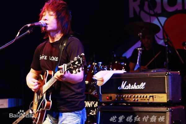 许巍演唱会图册