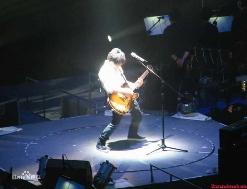 最全许巍在2009年《今天》北京演唱会中的壁纸