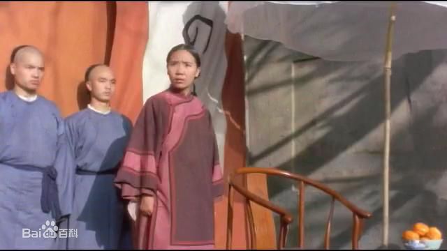 精选杨青在《功夫皇帝方世玉》中的图册