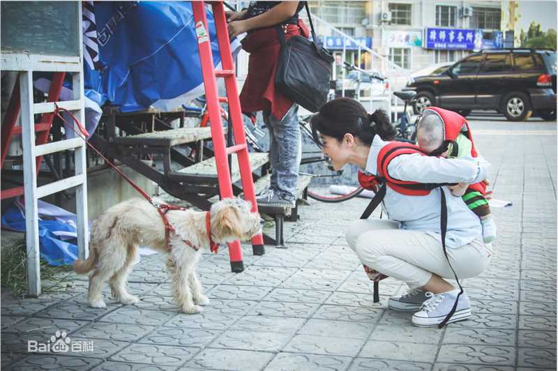 朱员成作品图片性感图片图集