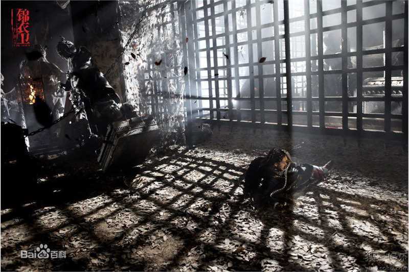 最新戴江精彩图册