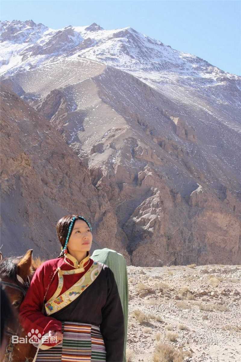 最新戴江精彩图册